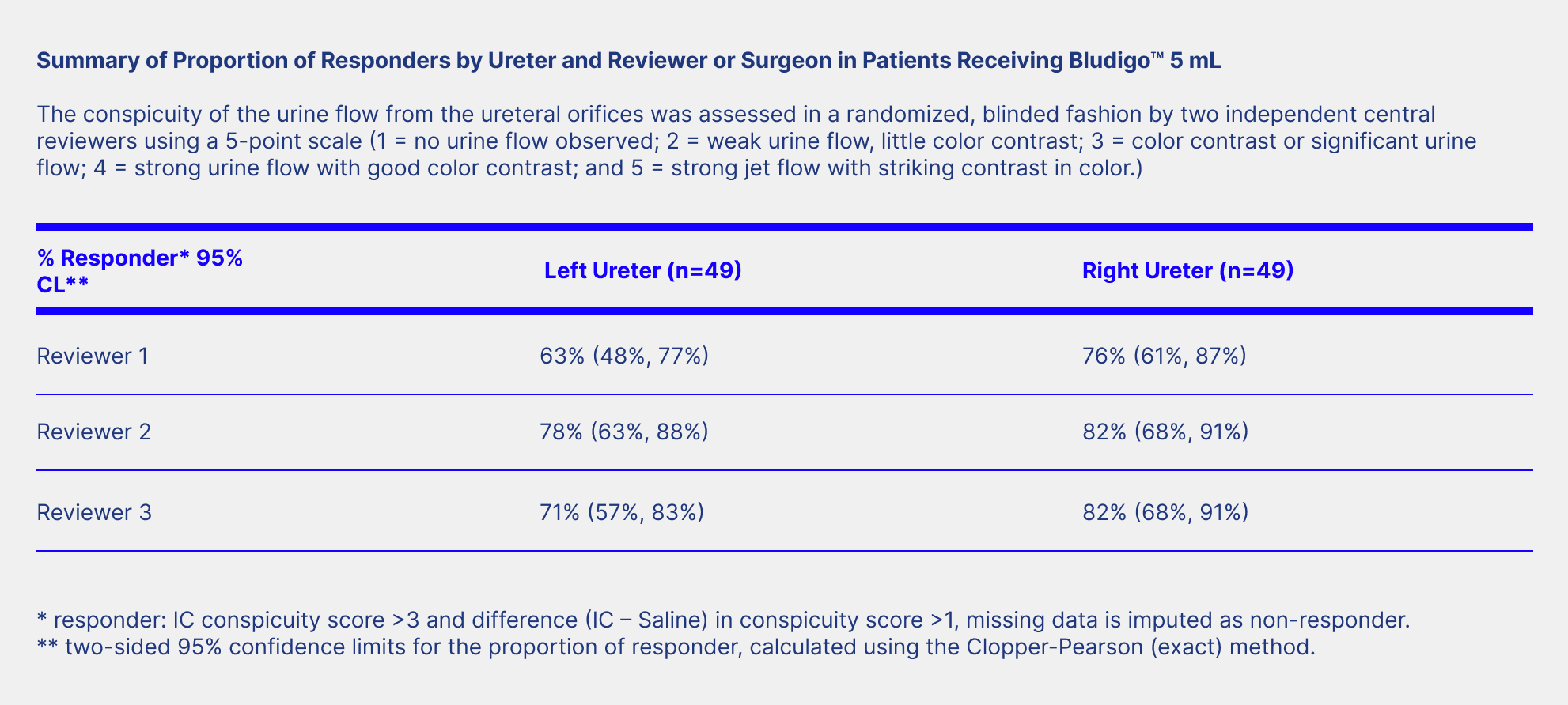 a table showing information from surgeons about using bludigo